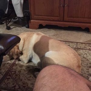 Meet your Posher, Anthony